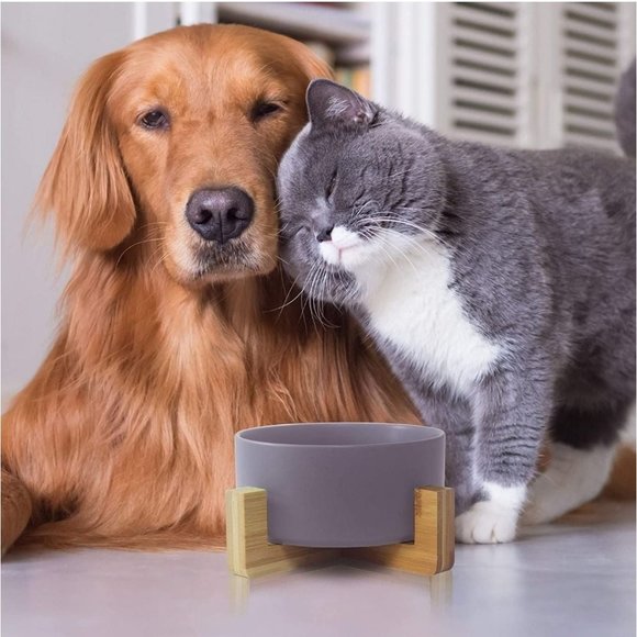 Ceramic Bowl For Pets, Dogs Or Cats - Picture 6 of 6